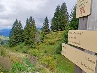 IMG-20250916-WA0075