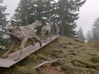 IMG 20250910 101734189 HDR